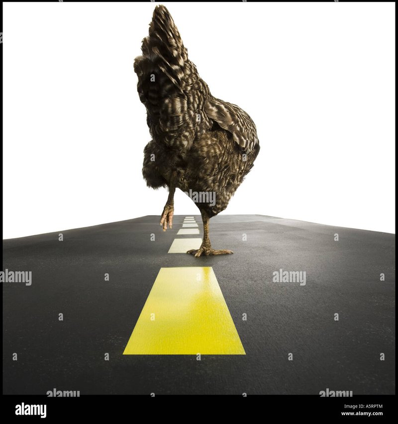 Explore chicken road casino