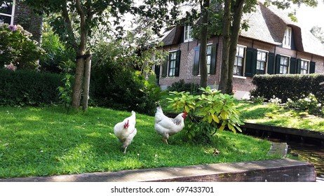 Een Kijkje op de Populaire Speelautomaten van Chicken Road - overview